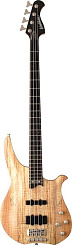 WASHBURN CB14(CO, Z, SP)