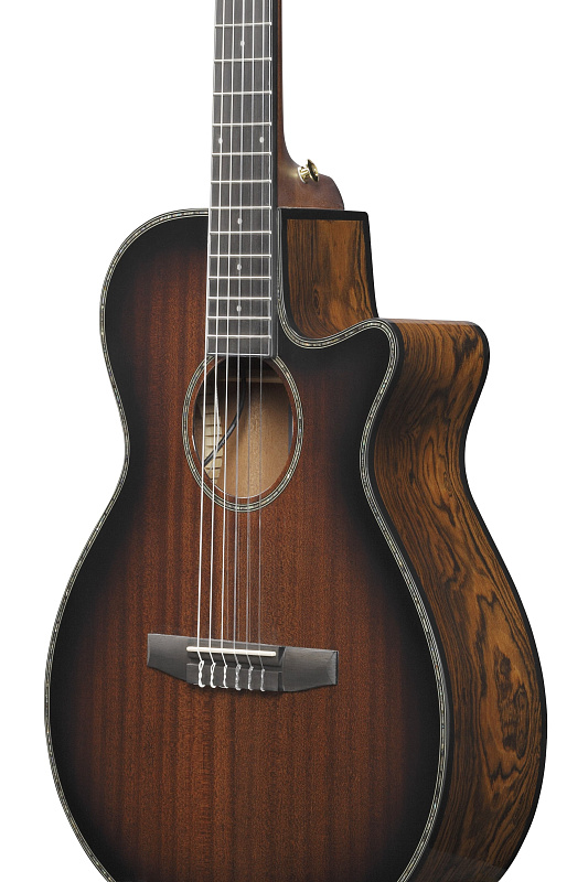Фото Акустическая гитара IBANEZ AEG74N-MHS