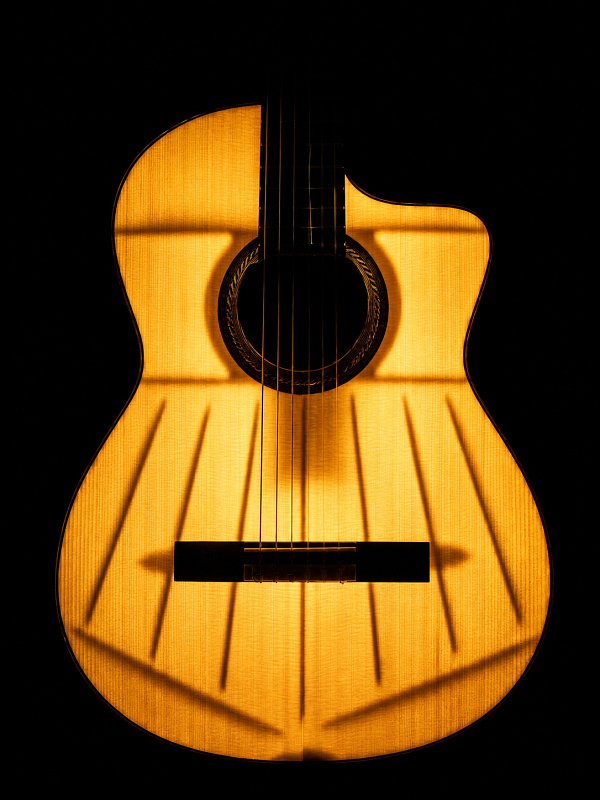 Фото Классическая гитара Martinez Almeria-Luthier-Rosewood