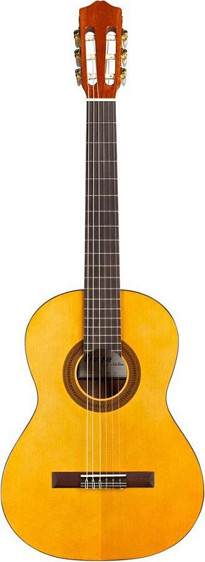 Фото CORDOBA PROTЕGЕ C1M 