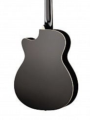 Акустическая гитара Naranda TG220CBK