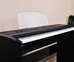 Цифровое пианино Artesia A-10 Polished