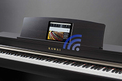 Kawai CN37R