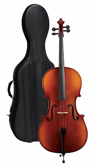 GEWA Cello outfit Europe 1/2 в магазине Music-Hummer