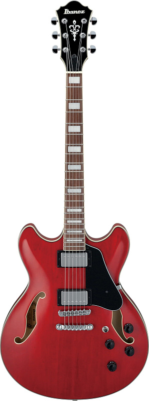 Фото IBANEZ AS73-TCD