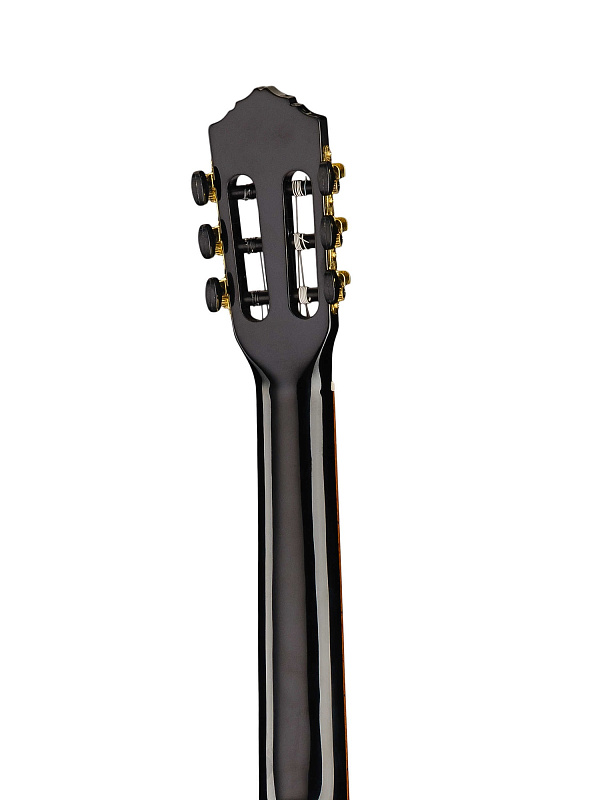 Фото Классическая гитара Ortega R221BK Family Series 