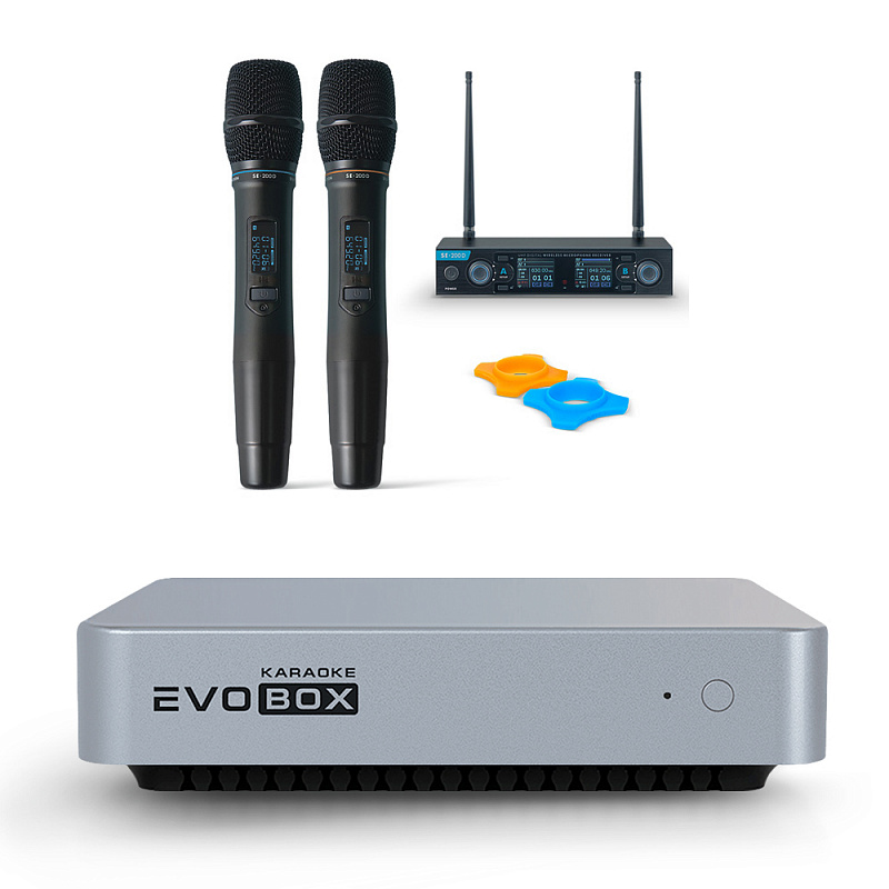Караоке-система Evolution EVOBOX с 2 микрофонами Silver в магазине Music-Hummer