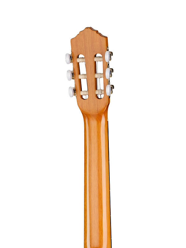 Фото Классическая гитара Ortega R122G Family Series 