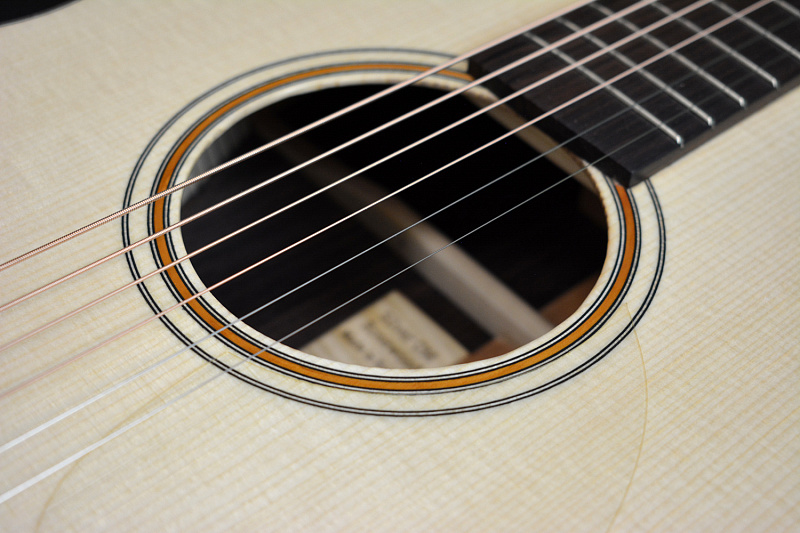 Фото Акустическая гитара TYRONE SILVER D Rosewood