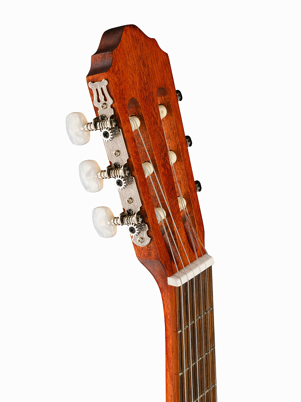 AC100-OP Classic Series Классическая гитара, Cort в магазине Music-Hummer