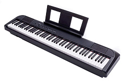 Компактное цифровое пианино Beisite S-198 Pro Lite BK