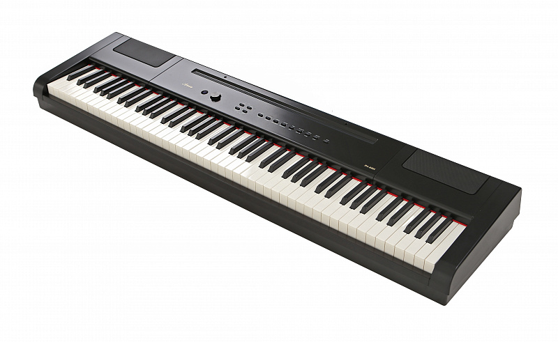 Цифровое пианино Artesia PA-88H в магазине Music-Hummer