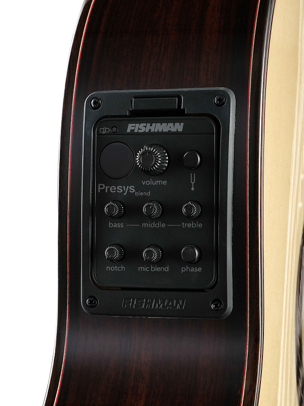 Фото Классическая гитара Martinez Almeria-Luthier-Rosewood