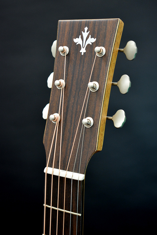 Фото Акустическая гитара TYRONE SILVER D Rosewood