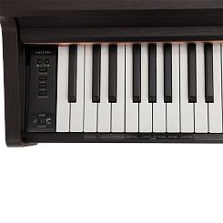 Цифровое пианино Antares W-380 BR