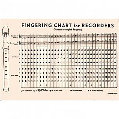HOHNER B9531 - Блокфлейта сопрано немецкая система Хонер