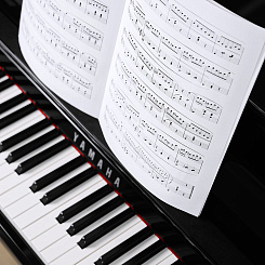 Цифровое пианино с банкеткой Yamaha CLP-885PE