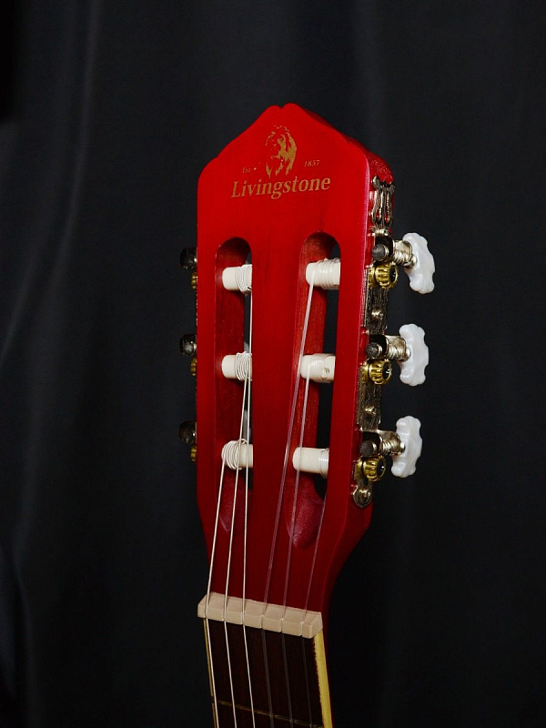 Гитара классическая Livingstone Opera RD в магазине Music-Hummer