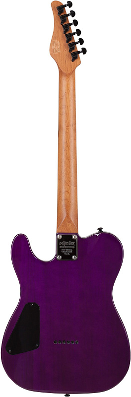 Фото Электрогитара Schecter PT STANDARD PBB