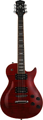 Washburn WINPRO FTR