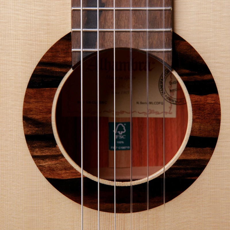 Фото Классическая гитара Alhambra Green Sustain Classical