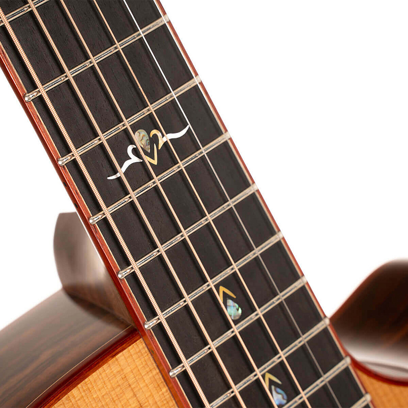 Фото Электроакустическая гитара Cort Gold-A10-Cocobolo-WCASE-NAT Gold Series