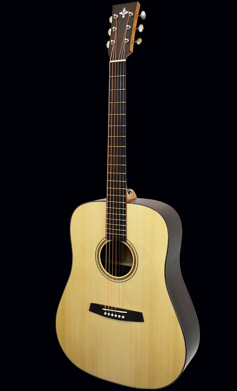 Фото Акустическая гитара TYRONE SILVER D Rosewood