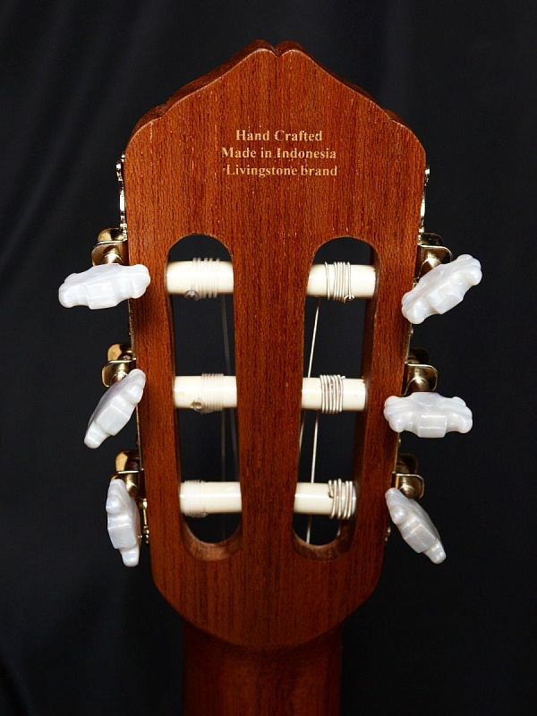 Фото Гитара классическая Livingstone Opera NS
