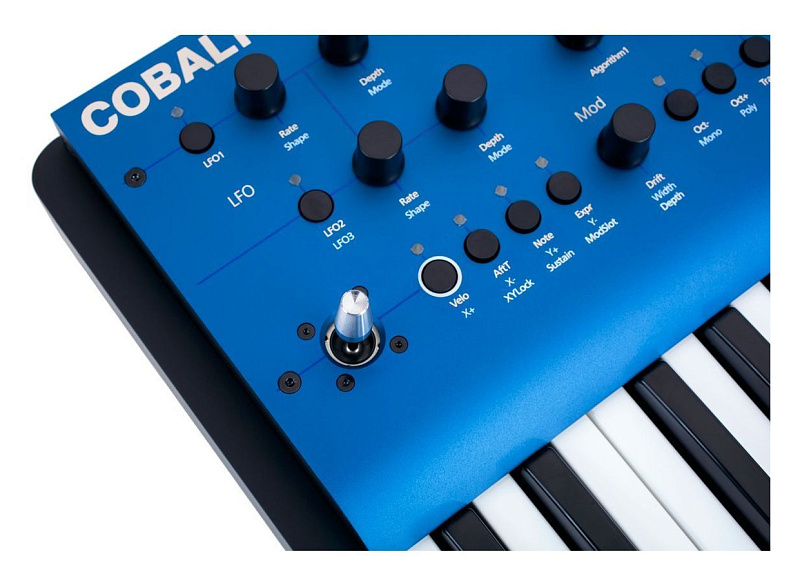 Фото Виртуально-аналоговый синтезатор Modal Cobalt8