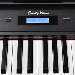 Цифровое фортепиано EMILY PIANO D-22 BK
