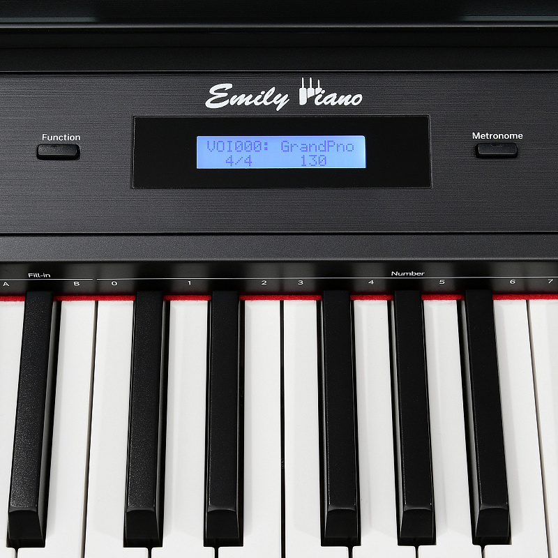 Цифровое фортепиано EMILY PIANO D-22 BK в магазине Music-Hummer