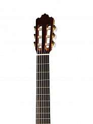 Классическая гитара 4/4 Prodipe JMFSOLOIST700 Soloist 700