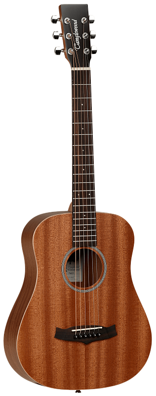 Фото Акустическая гитара TANGLEWOOD TW2 T