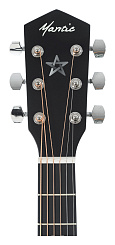 Акустическая гитара Mantic GT-1D BK, чёрный
