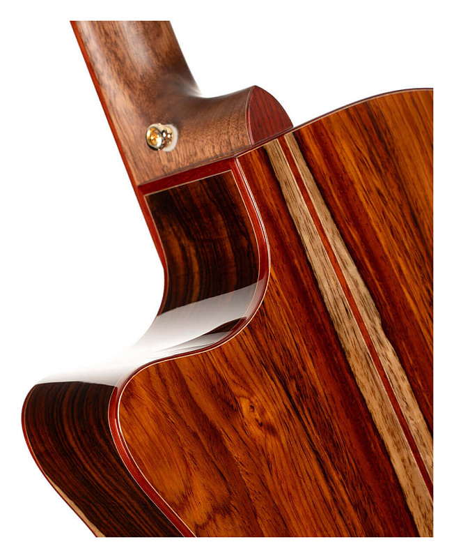 Фото Электроакустическая гитара Cort Gold-A10-Cocobolo-WCASE-NAT Gold Series
