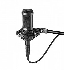 Audio-Technica AT2050 Микрофон студийный конденсаторный