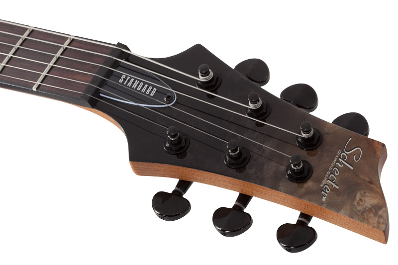 Фото Электрогитара Schecter C-1 STANDARD BFBB