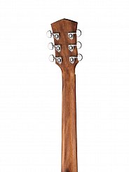 Акустическая гитара Parkwood S21-GT