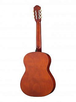 Классическая гитара Naranda CG220-4/4 в магазине Music-Hummer