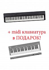 Цифровое пианино Casio PX-160+подарок