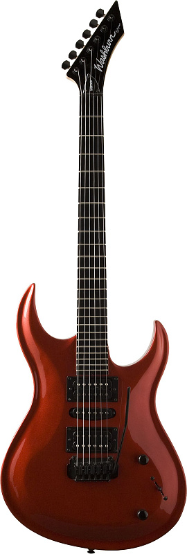 Фото Washburn WM10VMR