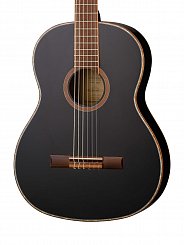Классическая гитара Ortega R221SNBK Family Series  
