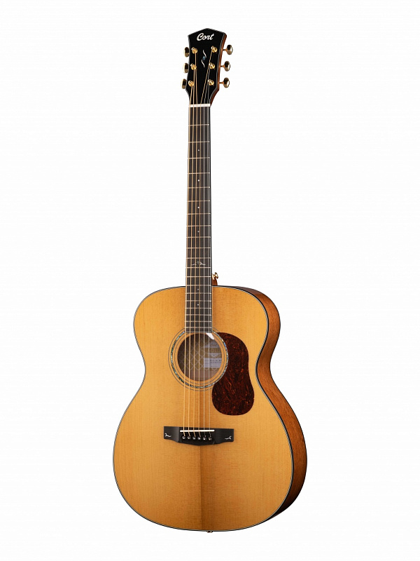 Акустическая гитара Cort GOLD-O6-NAT Gold, цвет натуральный глянцевый в магазине Music-Hummer