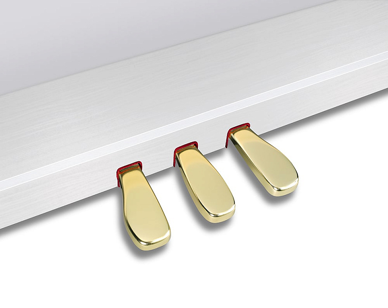 Фото Цифровое фортепиано Casio Celviano GP-310WE