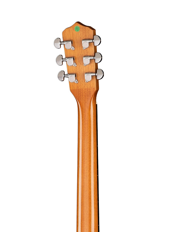 Банджо 6-струнное Caraya BJ-006 в магазине Music-Hummer