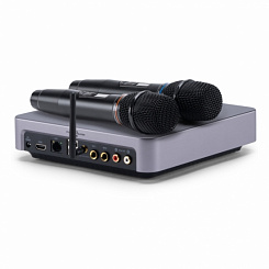 Комплект караоке EVO AntPower Plus