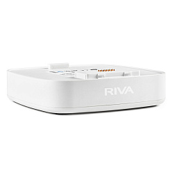Беспроводные решения / мультирум RIVA Audio Arena Battery