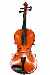 Скрипка 4/4 Euphony V75 