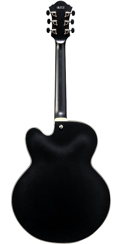 Фото IBANEZ AFC125-BKF Archtop