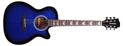 FERNANDES PD16C BBS